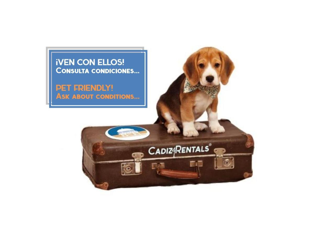 Cruise Adapted By Cadiz4rentals Appartement *